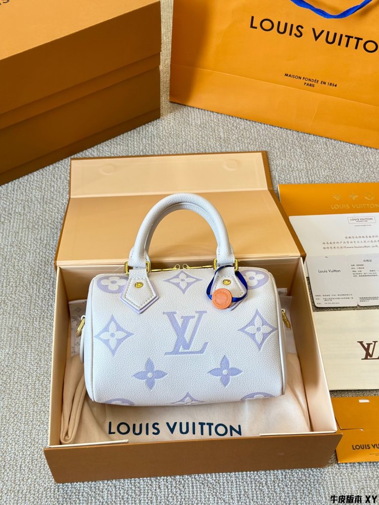 LV Bag Speedy leather Silver Logo-Accented Bag 20cm