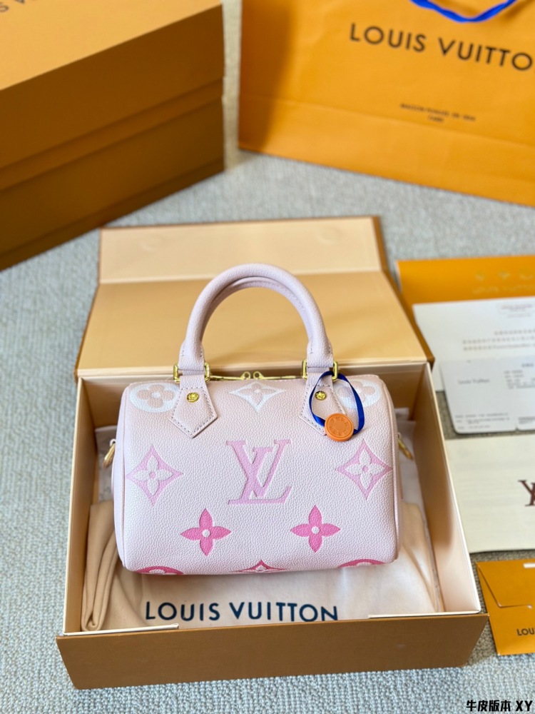LV Bag Speedy leather Silver Logo-Accented Bag 20cm