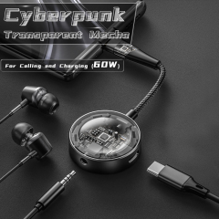 LOKUKA USB C to 3.5mm Headphone and Charger Adapter, 2-in-1 Hub