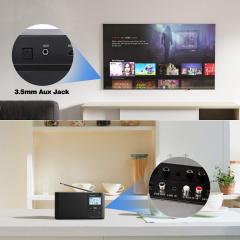 MillSO 3.5mm to RCA (8 Feet) AUX Adapter