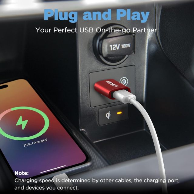 USB C Female to USB Male Adapter