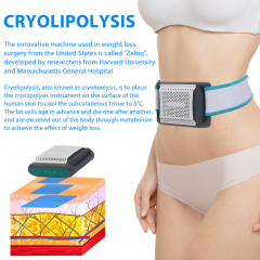 Factory hot sales Modern design cryo 360 fat portable slim body cryo machine for home use