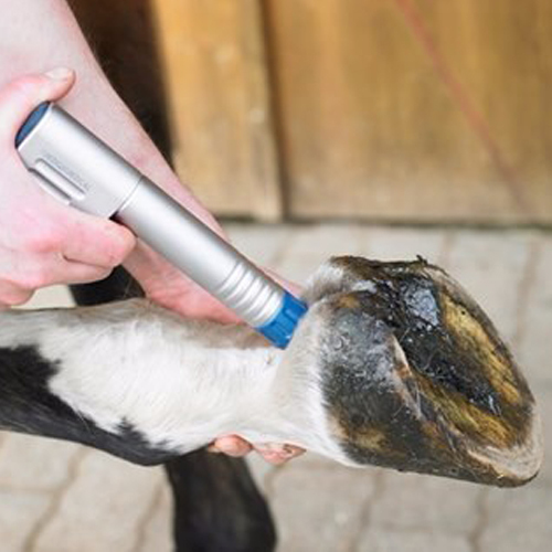 Shockwave Horse Therapy Pet Health Care Shock Wave Animal Health Care Products Machine