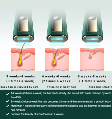 Drop Shipping Home Use 5th Gear Quartz Tube Mini Hair Removal Appliances Permanent Ipl Hair Removal Device Handset