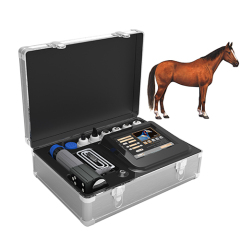 Shockwave Horse Therapy Pet Health Care Shock Wave Animal Health Care Products Machine