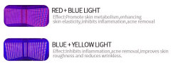 CE Approved Led Photodynamic Skin Rejuvenation And Acne Pdt Led Light Therapy Facial machine