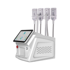 2023 New Painless Cryolipolysis Belly Slimming Cryo Plate Cooling Pads Fat Freezing EMS Machine