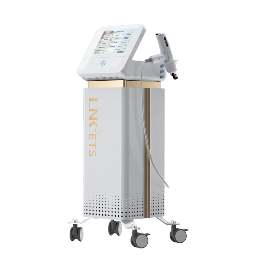 Ultrasound Microneedle Rf Mesotherapy Injection Gun Skin Care device