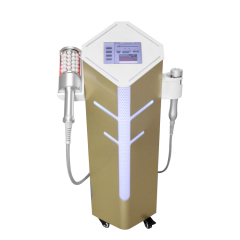 Professional Lymphatic Drainage Cellulite Reduction Roller Slimming Machine Massage Inner Ball Roller Weight Loss Machine