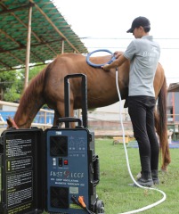 Pemf Vet Magneto Therapy Plus Physical Rehabilitation Magnetotherapy machine
