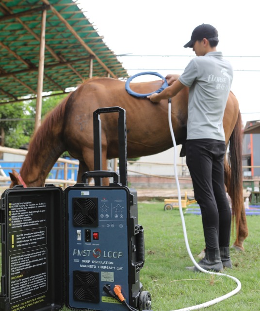 Pemf Vet Magneto Therapy Plus Physical Rehabilitation Magnetotherapy machine