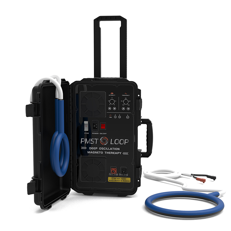 Pemf Vet Magneto Therapy Plus Physical Rehabilitation Magnetotherapy machine
