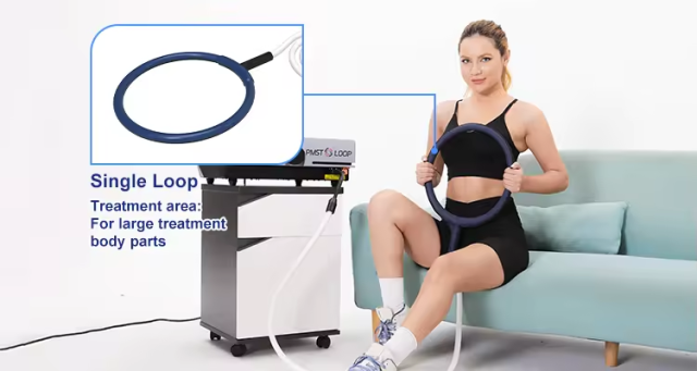 Electromagnetic Field Therapy Device Pemf Magnetic Therapy Double Pads Pemf Full Body Massage Mat