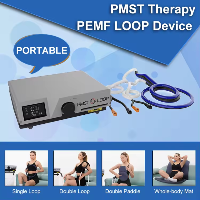 Electromagnetic Field Therapy Device Pemf Magnetic Therapy Double Pads Pemf Full Body Massage Mat