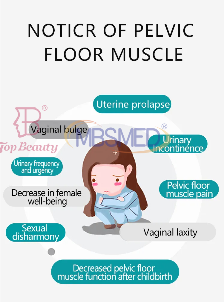 EMS Pelvic Floor Chair Cushion Kegel Machine for Postpartum Incontinence