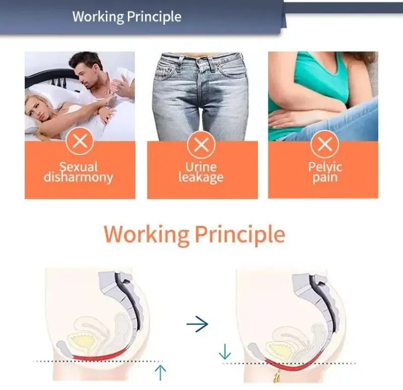 How EMS Pelvic Floor Chair&nbsp;Works?