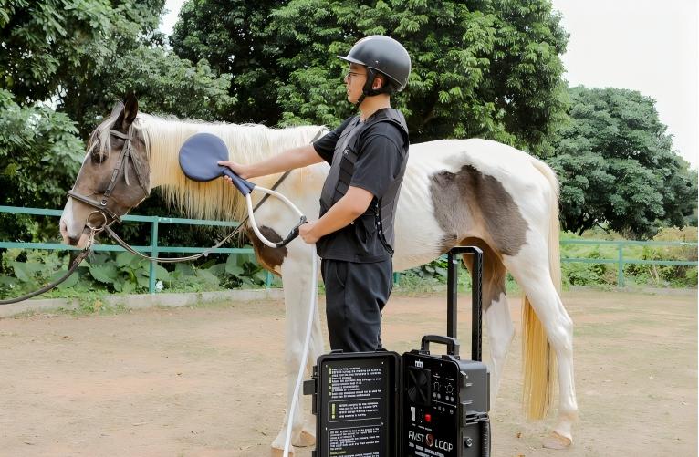 pemf for horses