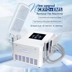 Cryo Ems Pads Therapy Cooling Plates Electronic Muscle Stimulate Body Slimming Sculpting Machine