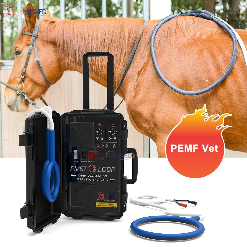 Best PEMF for Horses Machine