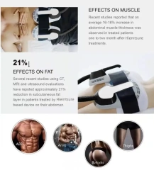Professional Strong Power Portable Ems Body Slimming Muscle Stimulate Machine