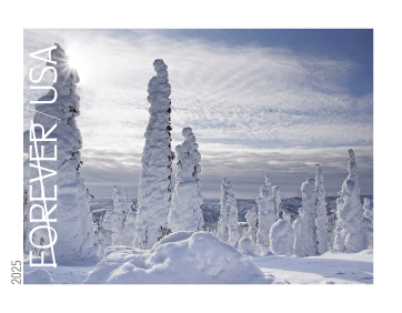 2025 Winter Landscapes forever stamps