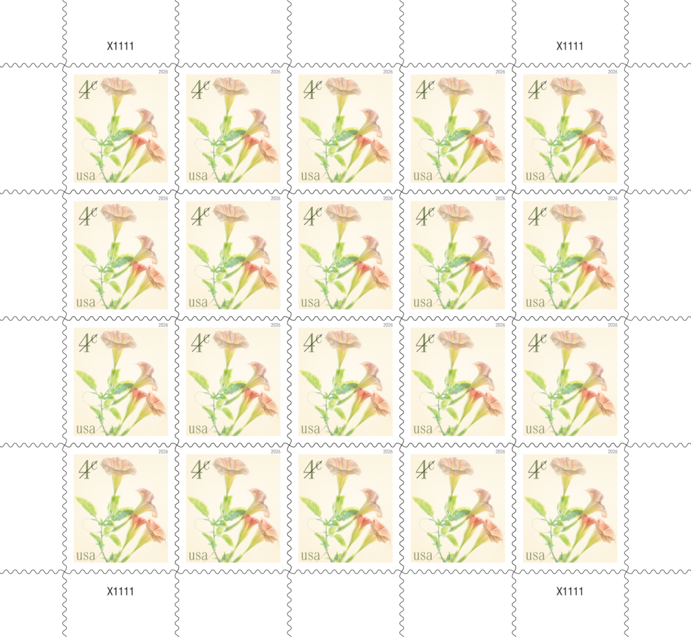 2026 Angel's Trumpets Stamps Additional Postage 4 cents