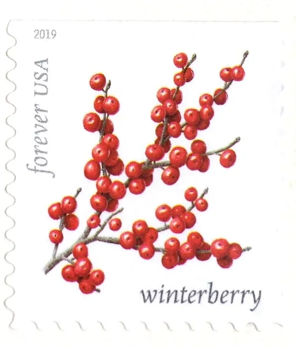(2019) USPS Winter Berries First Class Forever Postage Stamps