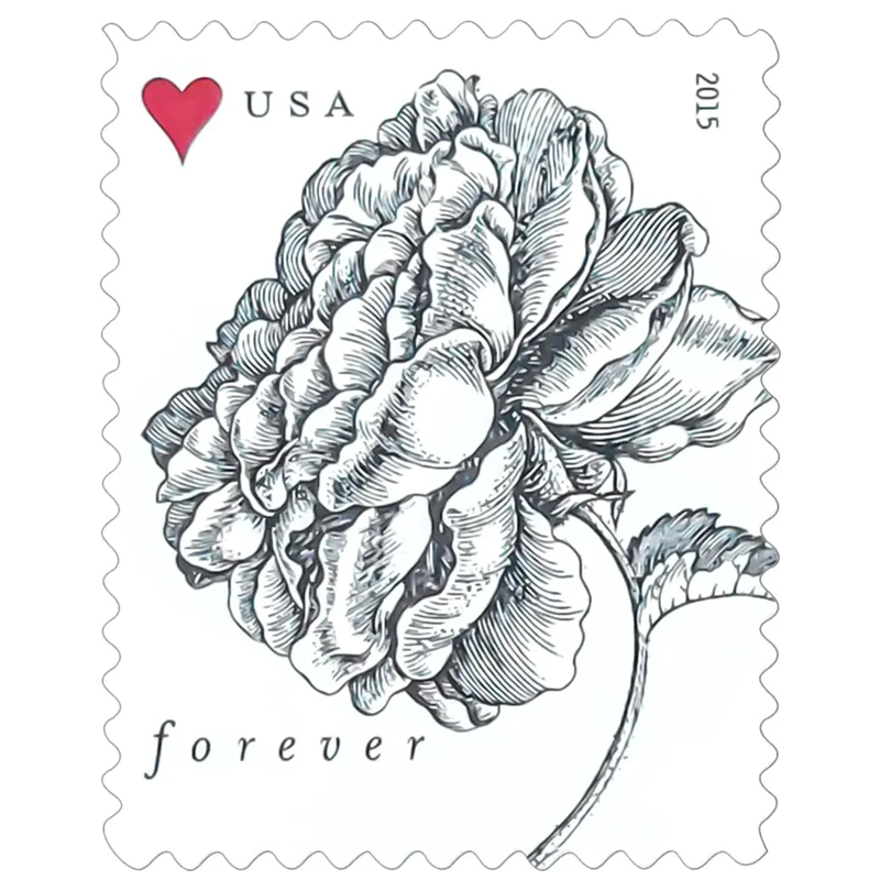 2015 Vintage Rose Pane Wedding Forever Postage Stamps