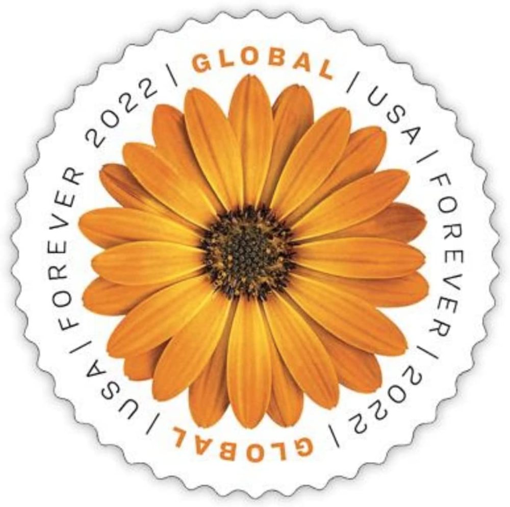 (2022) USPS Global Forever International Mail African Daisy Postage Stamps