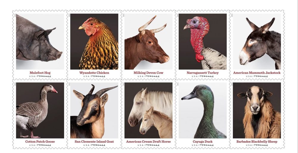 2021  US New Heritage Breeds Forever Postage Stamps