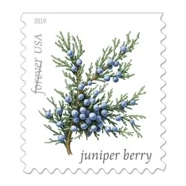 (2019) USPS Winter Berries First Class Forever Postage Stamps