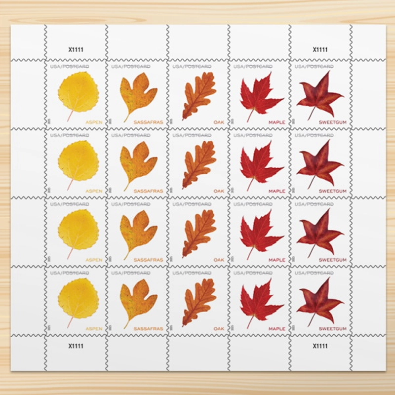2025 Vibrant Leaves Postcard Stamps, Sheetof 20 Postcard |Multiple Stamp Designs and Formats