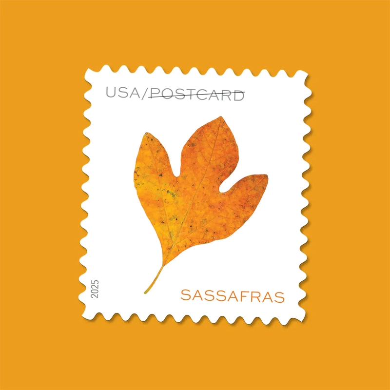2025 Vibrant Leaves Postcard Stamps, Sheetof 20 Postcard |Multiple Stamp Designs and Formats
