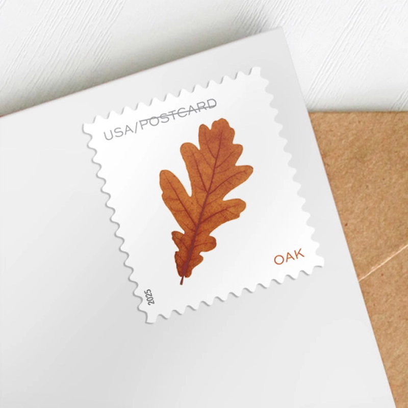 2025 Vibrant Leaves Postcard Stamps, 1 Roll of 100 Pcs Postcard |Multiple Stamp Designs andFormats