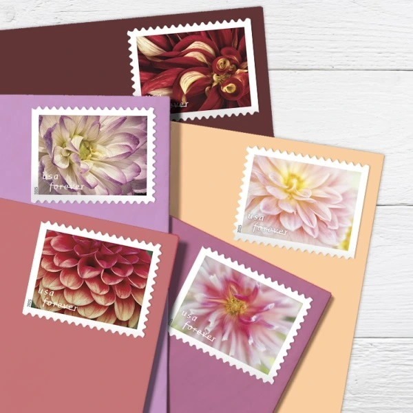 2025 Dahlias Stamps Book of 20
