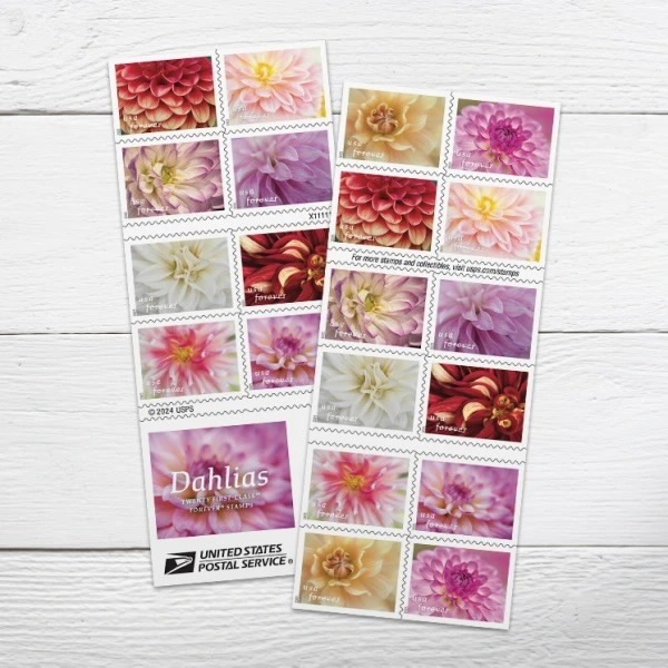 2025 Dahlias Stamps Book of 20