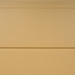 Desert Yellow