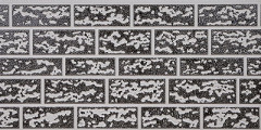Non-standard Rough Brick