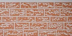 Non-standard Rough Brick