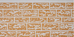 Non-standard Rough Brick