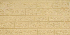 Non-standard Rough Brick