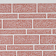 Angel White+Net Red