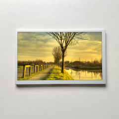 8inch LCD Display Screen Original Innolux At080tn64 TFT LCD Module for Car Application