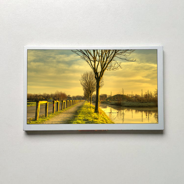 8inch LCD Display Screen Original Innolux At080tn64 TFT LCD Module for Car Application