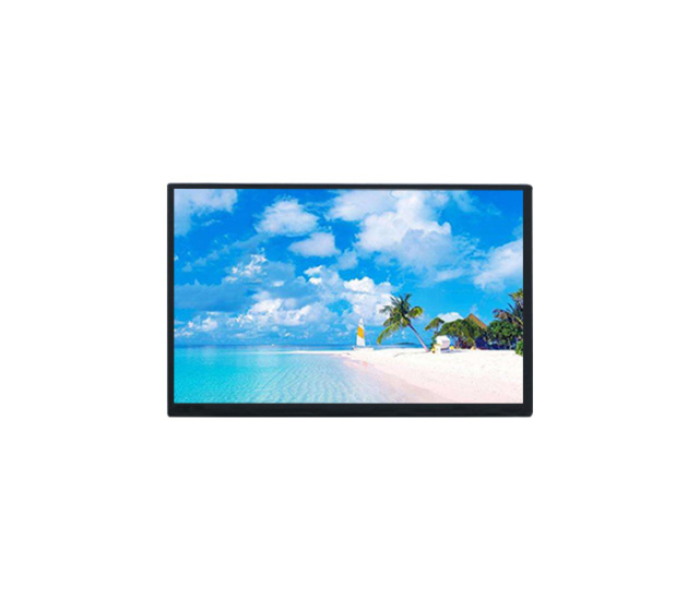 10.1 inch 1280x800 HD TFT LCD display 40pin LVDS interface optional touch screen panel