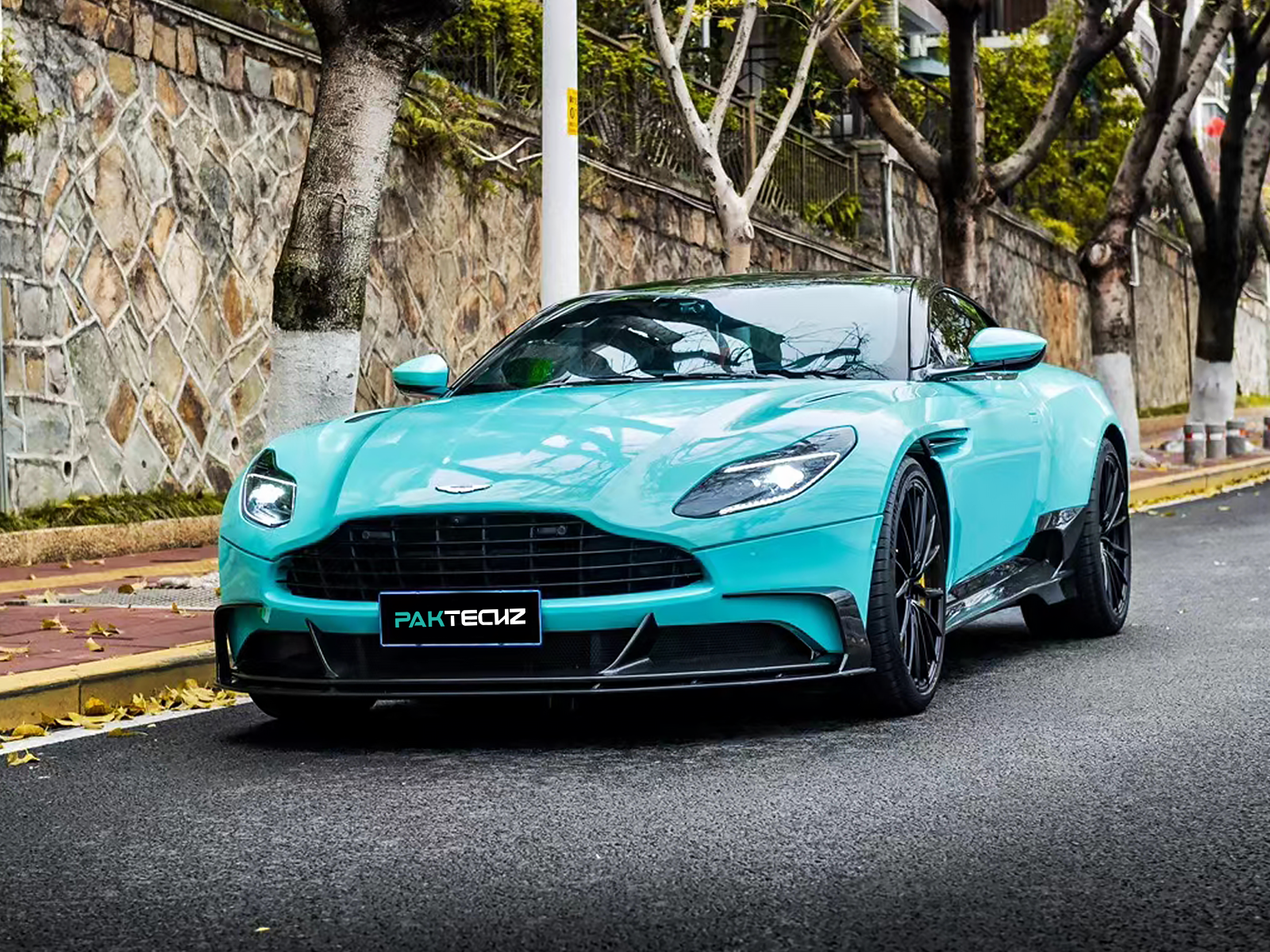 Aston Martin DB11 Paktechz Design Carbon Fiber Lower Front Lip Splitter