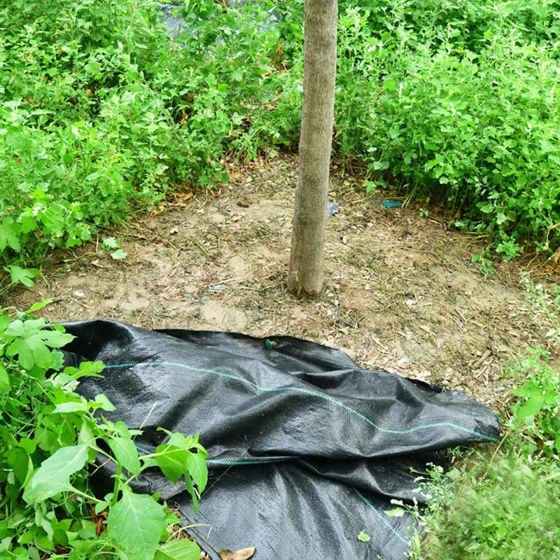 Tapis de paillage rectangulaire biodégradable pour les racines des arbres,Tapis de paillage rectangulaire biodégradable pour les racines des arbres