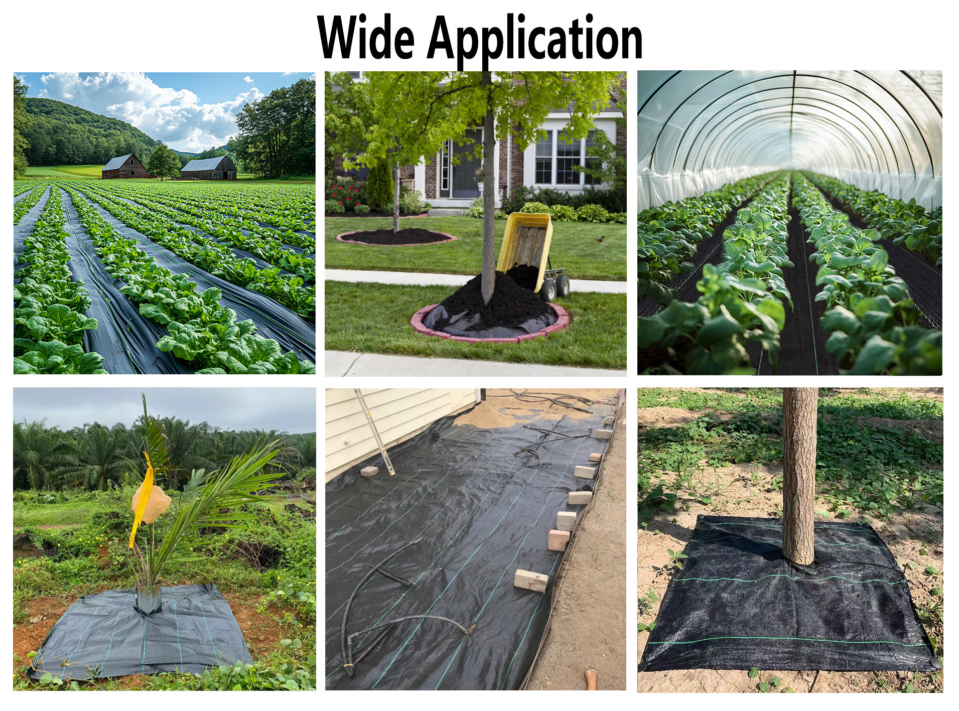 Scenariusze zastosowań &mdash; mata przeciw chwastom do drzew