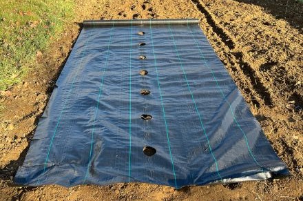 Agricultural Fabric with Planting Holes