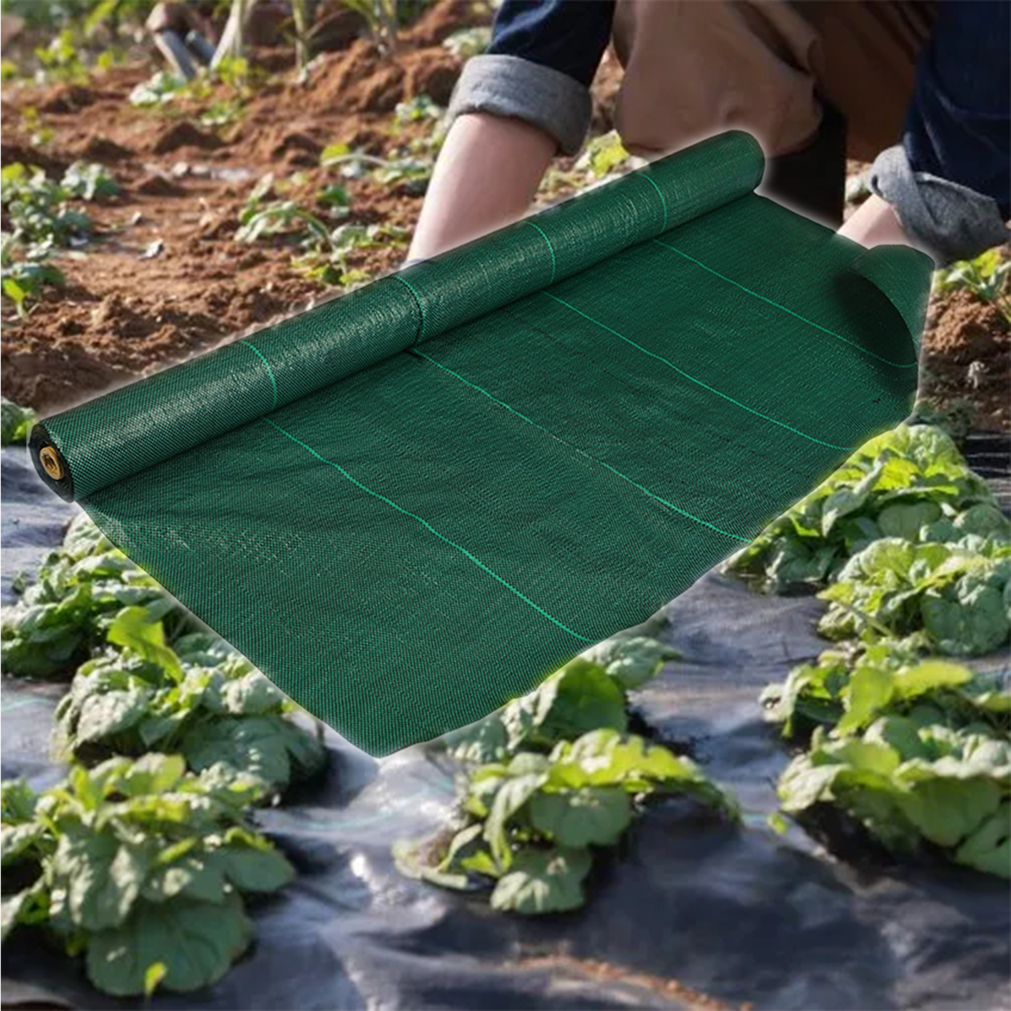 Commercial Green Weed Barrier Fabric for Ground Cover,Commercial Green Weed Barrier Fabric for Ground Cover